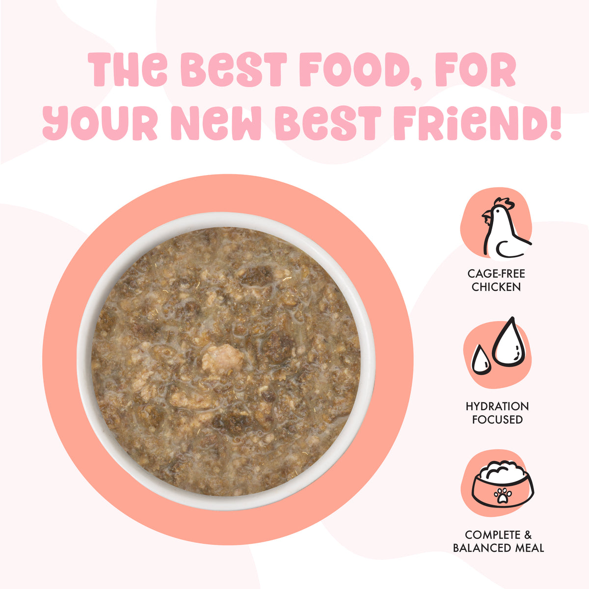BFF Kitten! Chicken and Salmon Cuddle Buds! Canned Cat Food