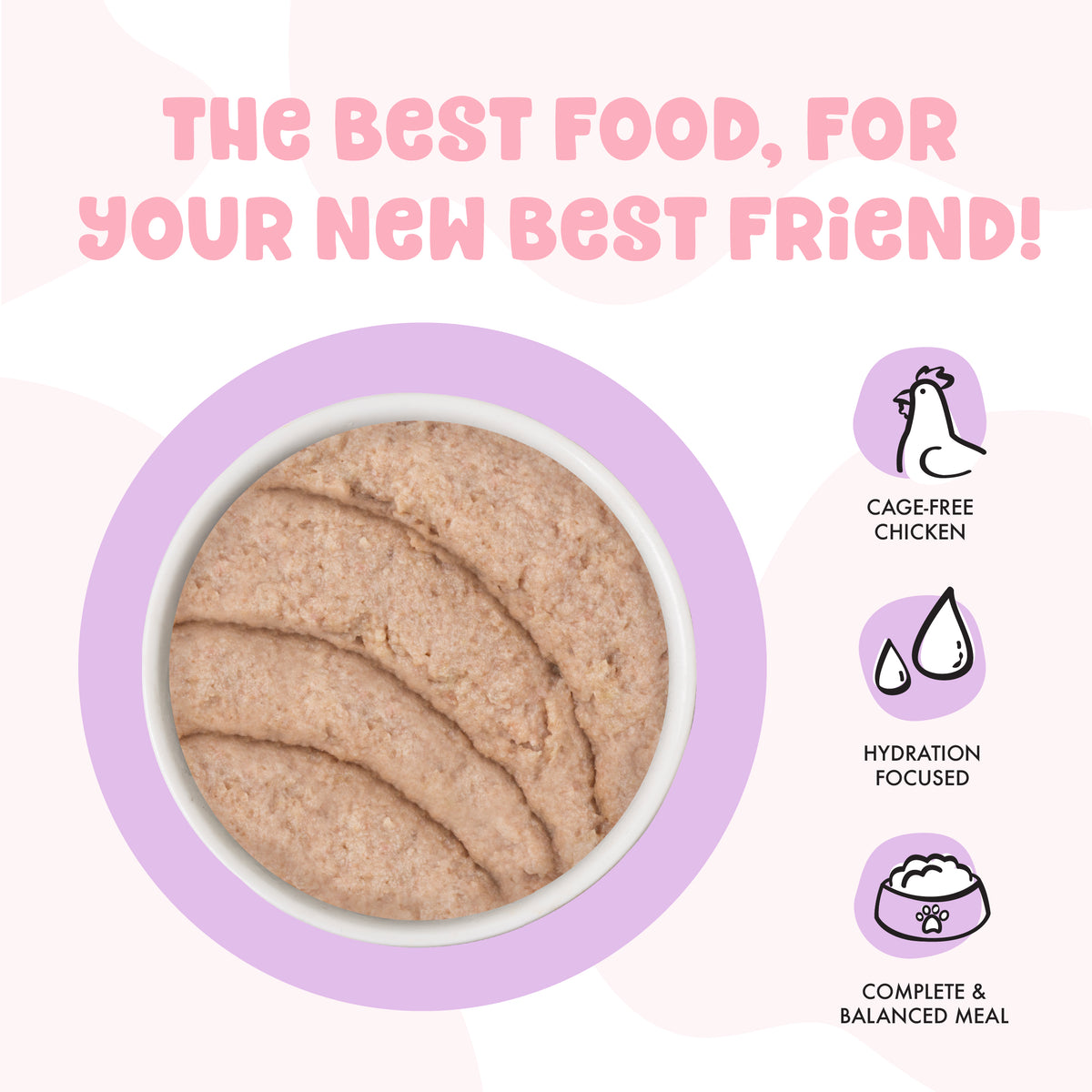 BFF Kitten! Chicken Cute to Boot! Dinner in Hydrating Purée Canned Cat Food