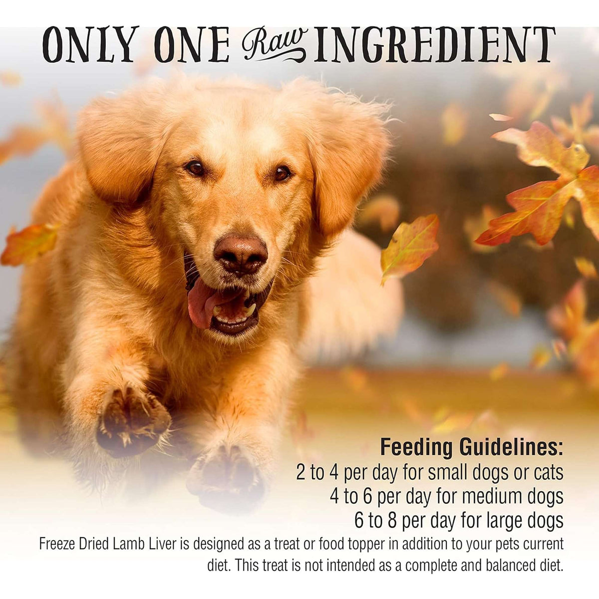 Northwest Naturals Raw Rewards Freeze-Dried Lamb Liver Dog &amp; Cat Treats