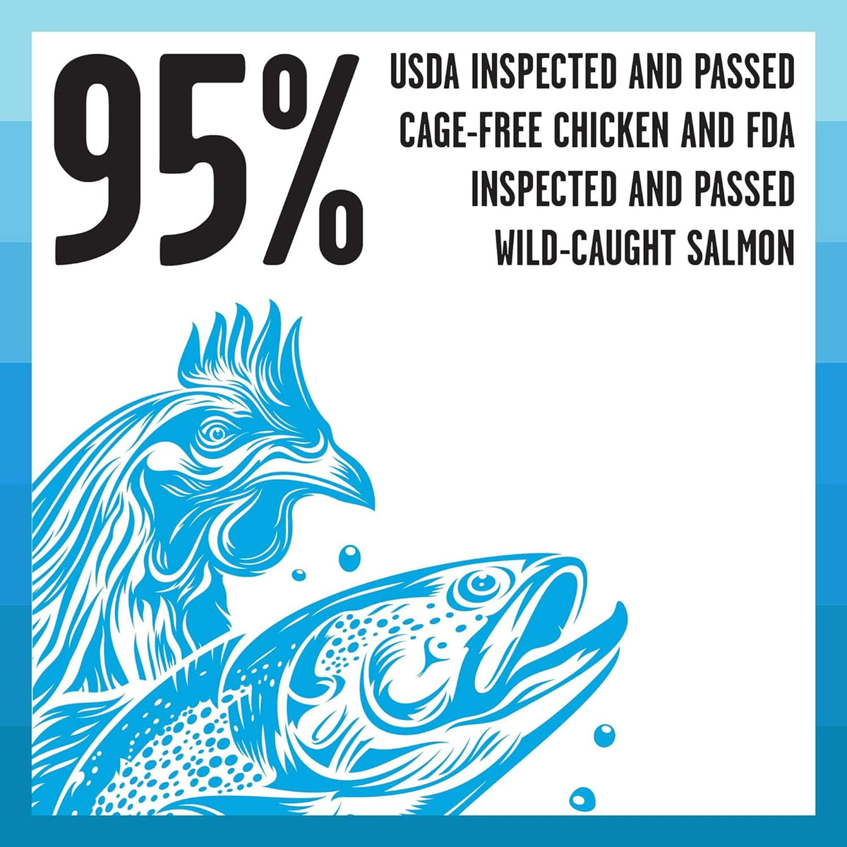 Bixbi Rawbble Freeze-Dried Grain Free Chicken &amp; Salmon Cat Food