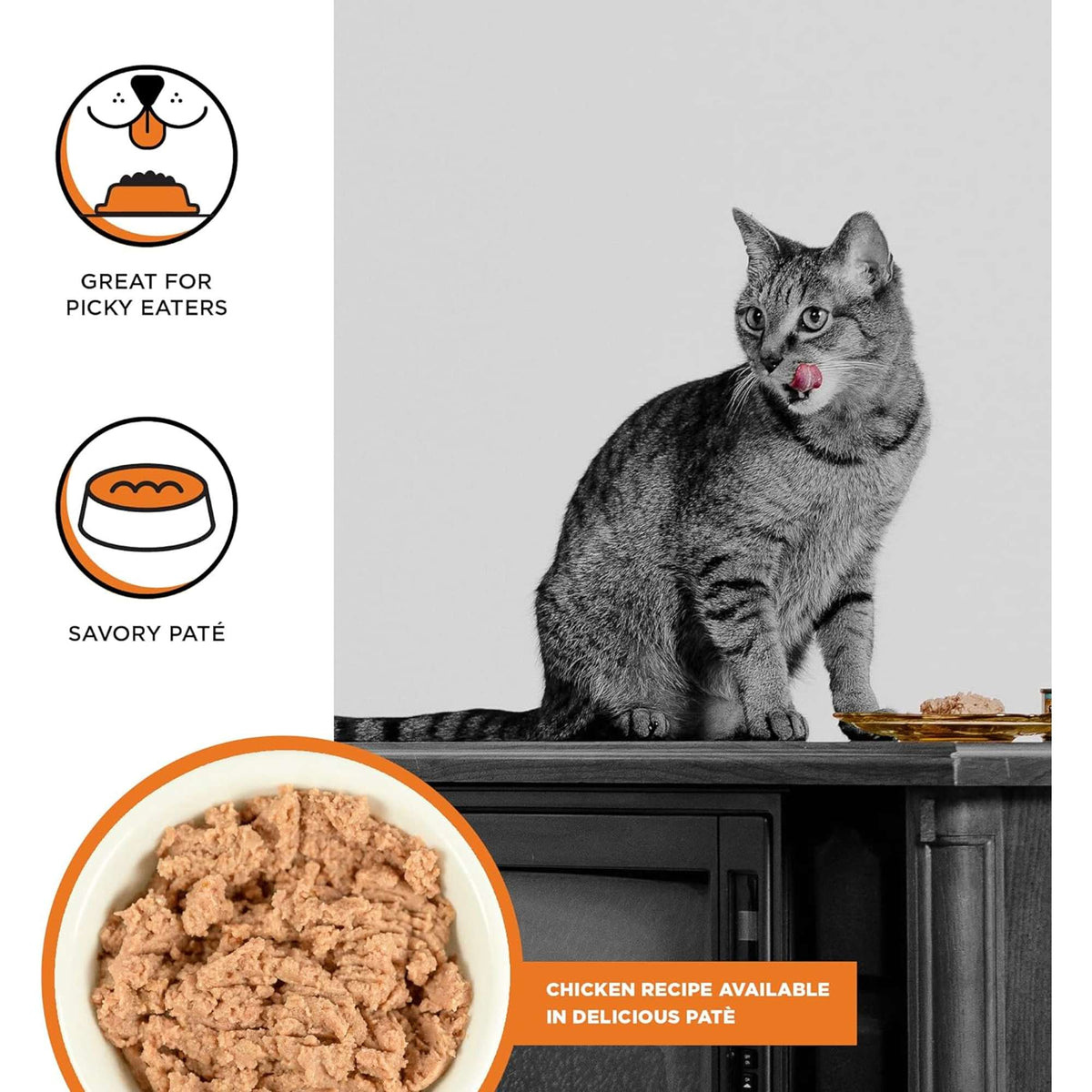 Bixbi Rawbble Paté Grain Free Chicken Canned Cat Food