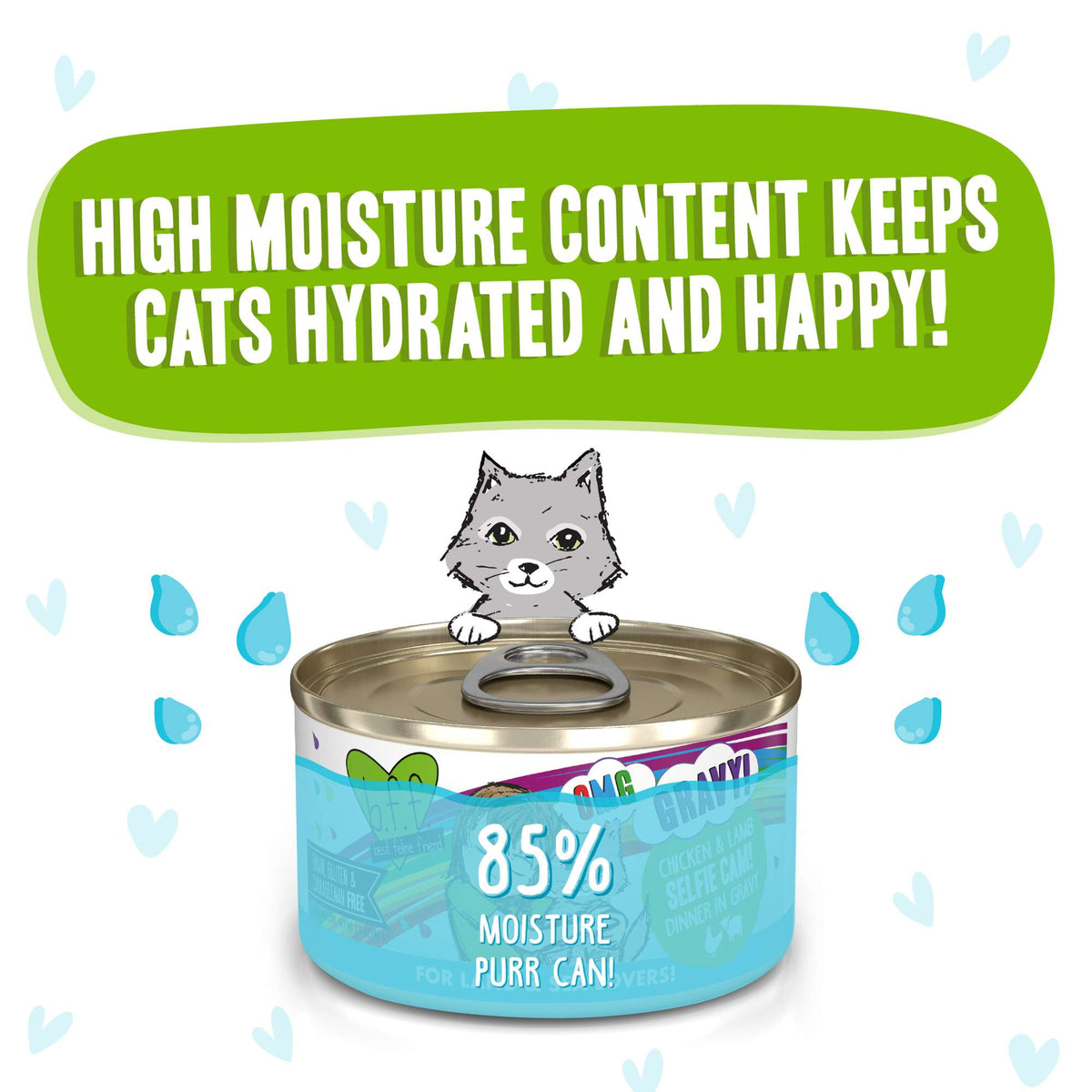BFF OMG Gravy! Selfie Cam Chicken &amp; Lamb Canned Cat Food