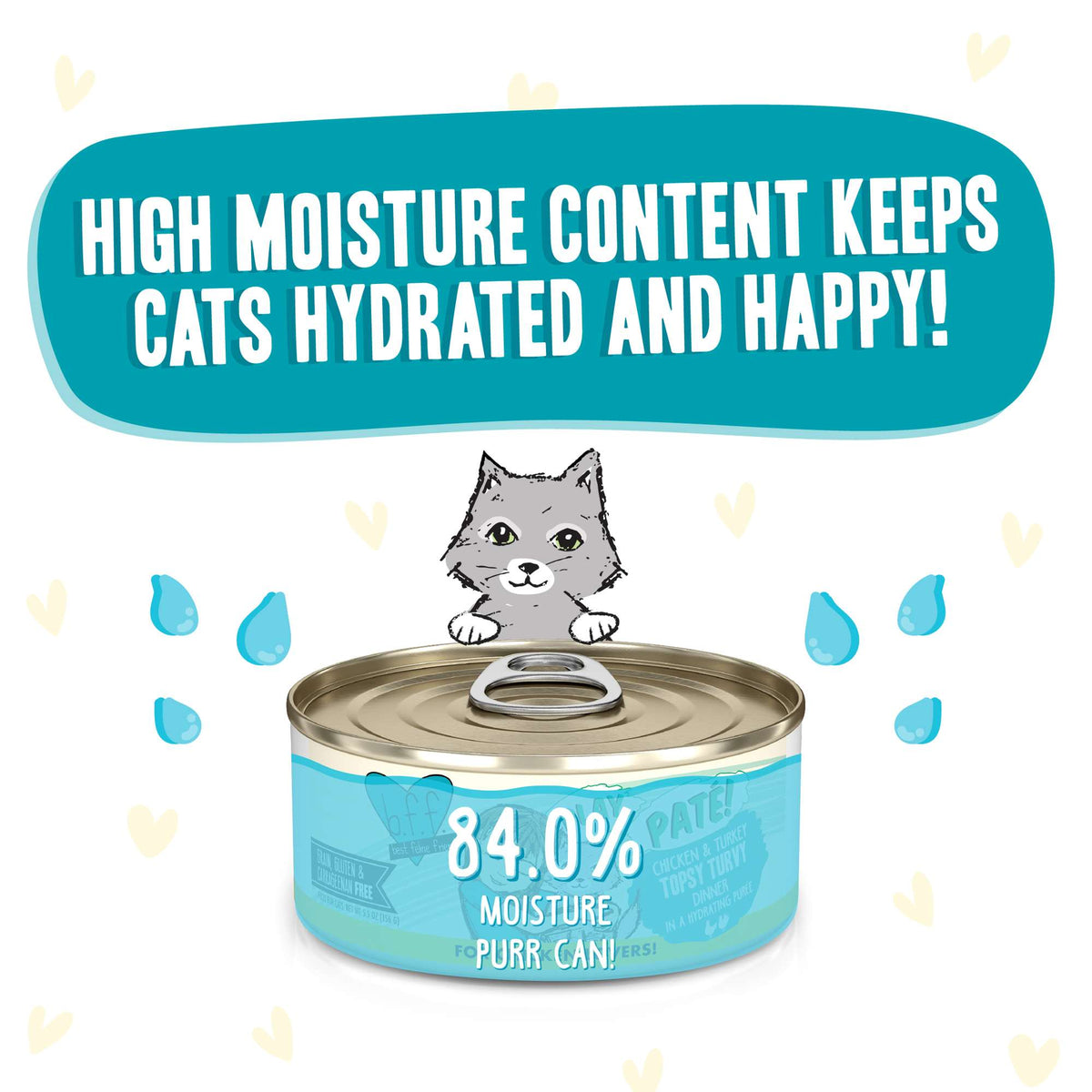 BFF Play Paté! Topsy Turvy Chicken &amp; Turkey Canned Cat Food