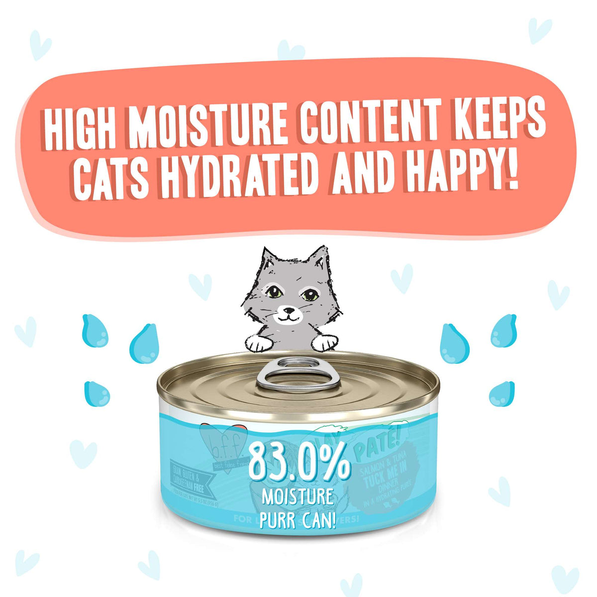 BFF Play Paté! Tuck Me In Salmon &amp; Tuna Canned Cat Food