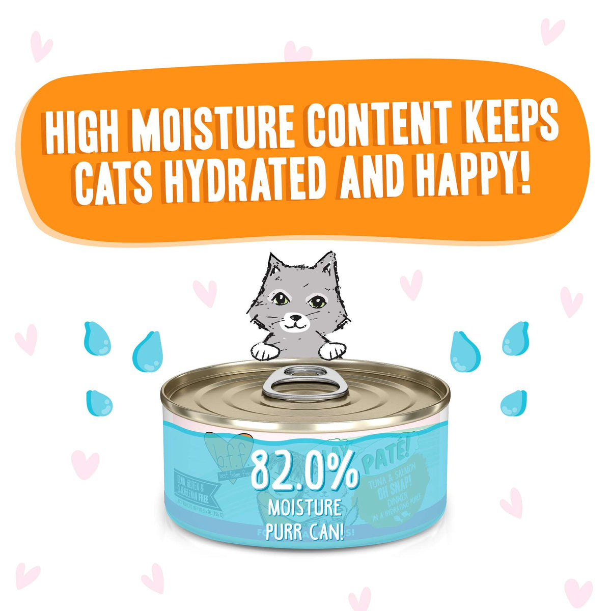 BFF Play Paté! Oh Snap! Tuna &amp; Salmon Canned Cat Food