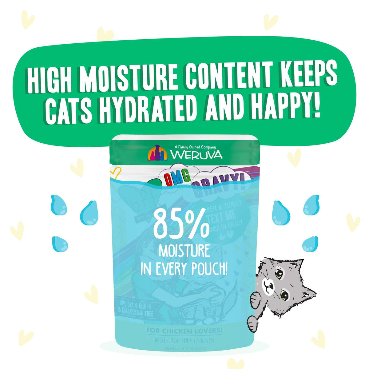 BFF OMG Gravy! Text Me Chicken &amp; Turkey Cat Food Pouch