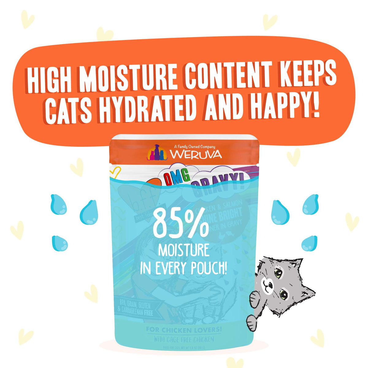 BFF OMG Shine Bright Chicken &amp; Salmon Cat Food Pouch