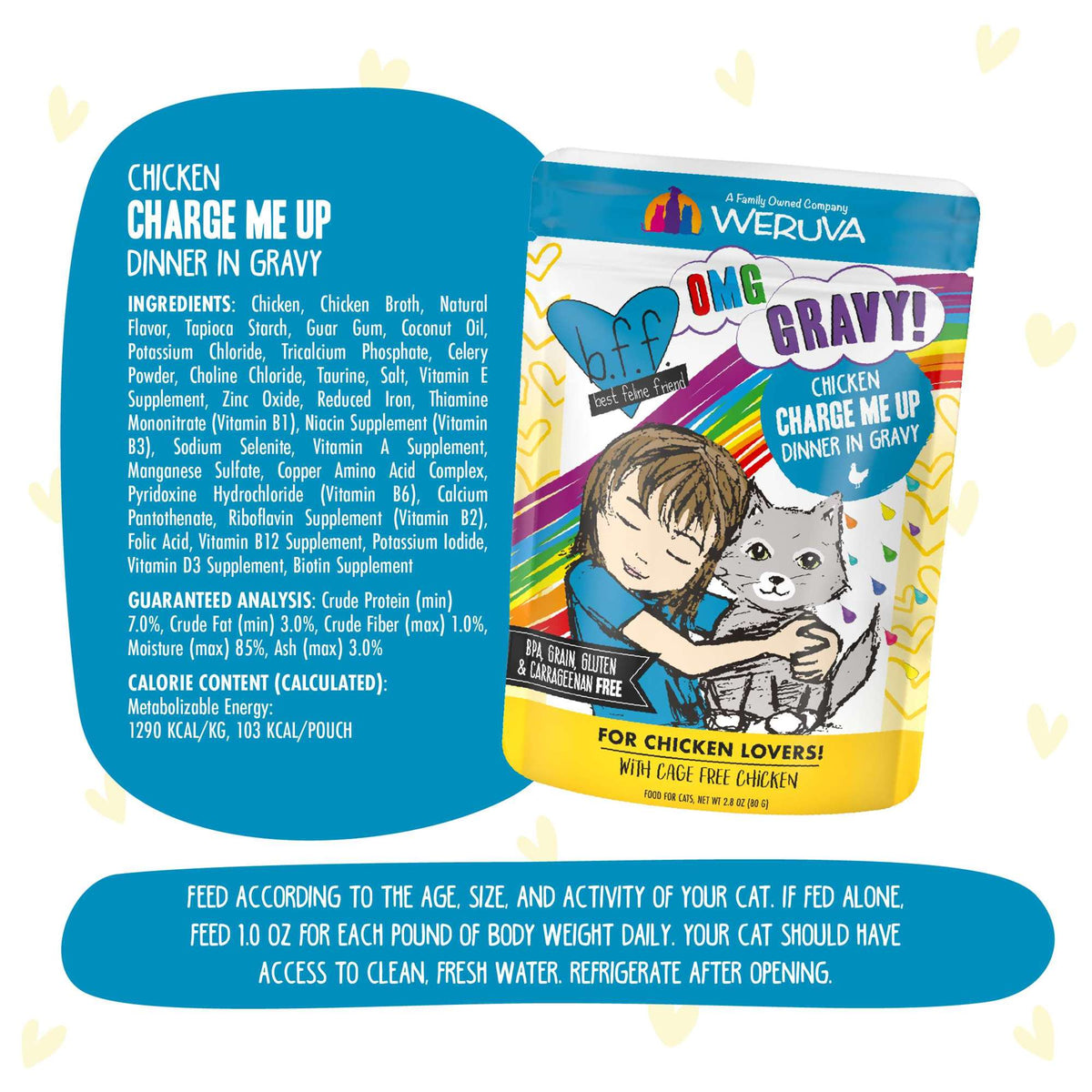 BFF OMG Gravy! Charge Me Up Chicken Cat Food Pouch