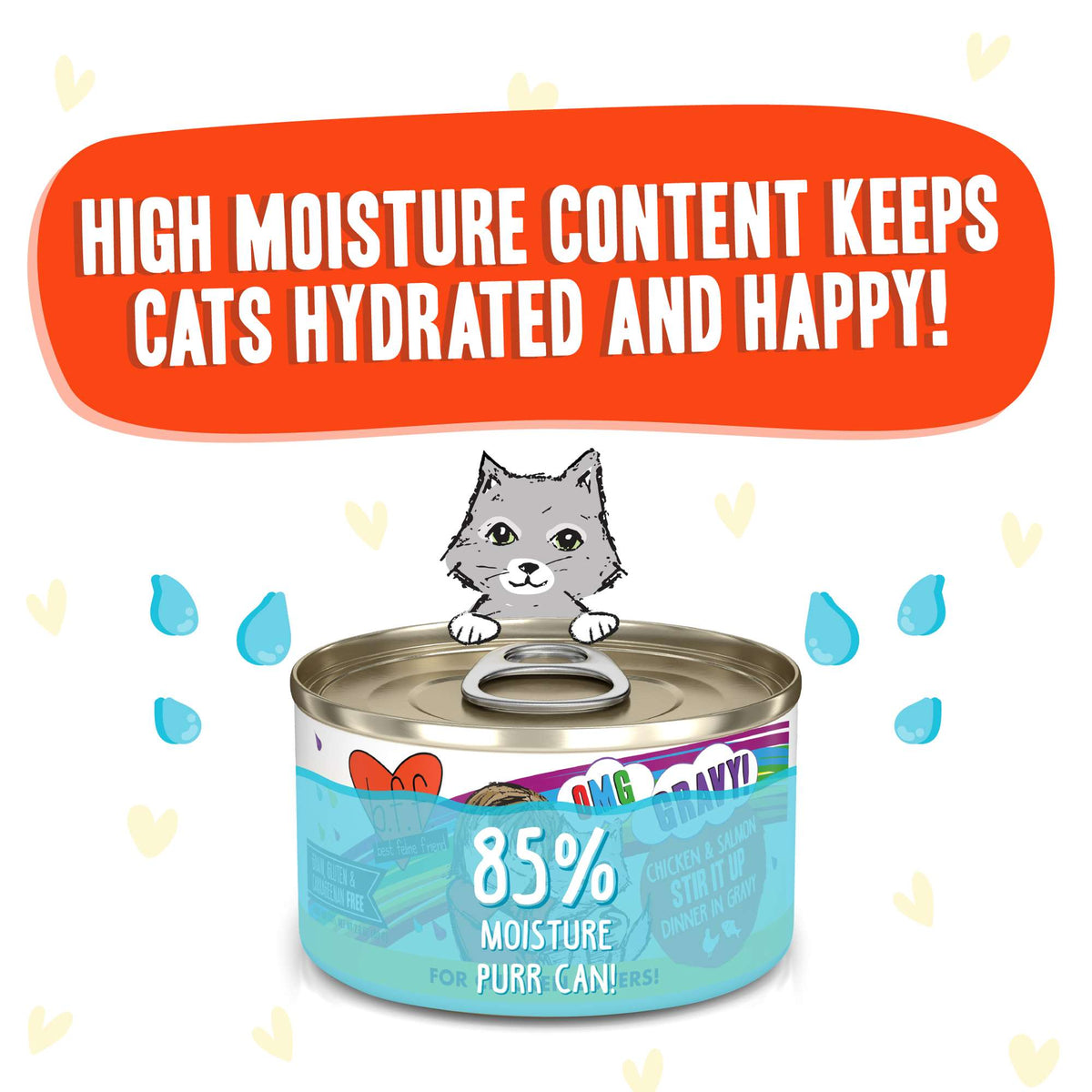 BFF OMG Gravy! Stir It Up Chicken &amp; Salmon Canned Cat Food