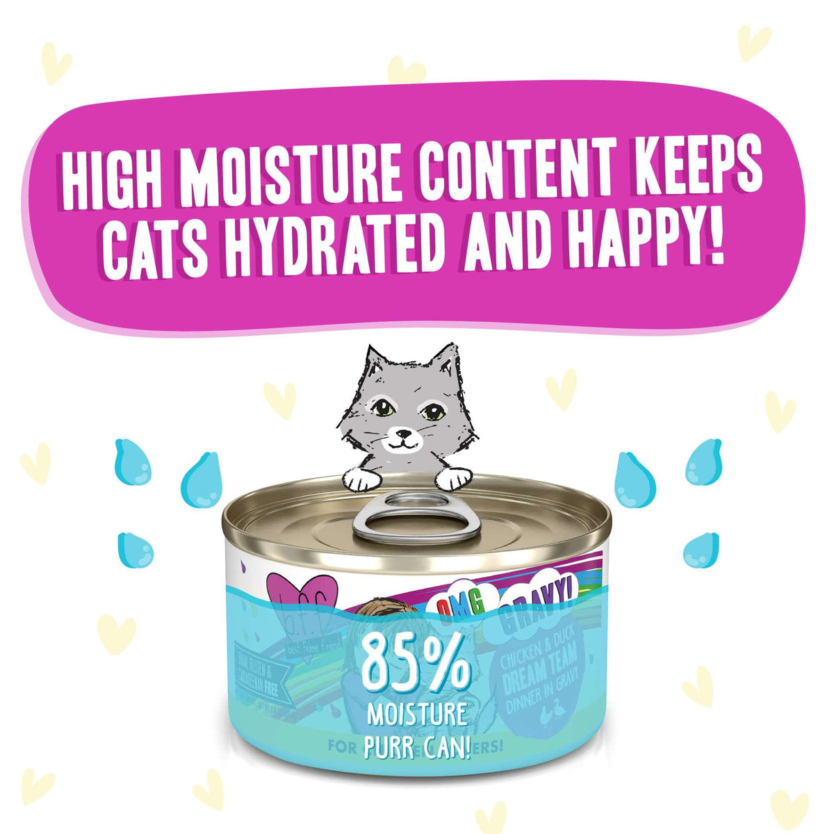 BFF OMG Gravy! Dream Team Chicken &amp; Duck Canned Cat Food