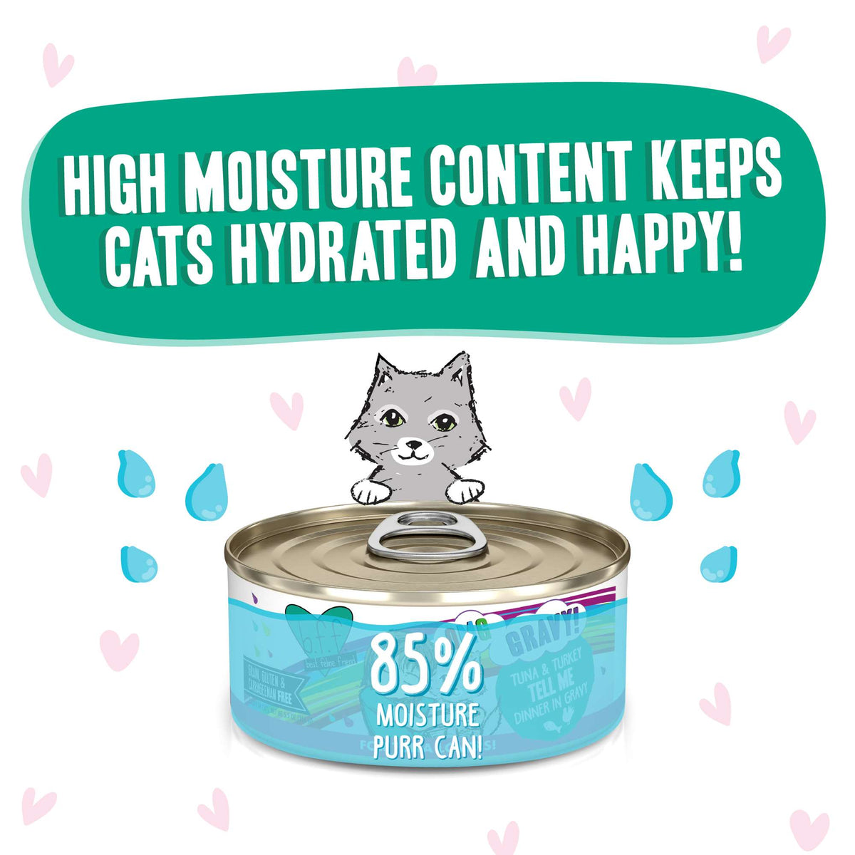 BFF OMG Gravy! Tell Me Tuna &amp; Turkey Canned Cat Food