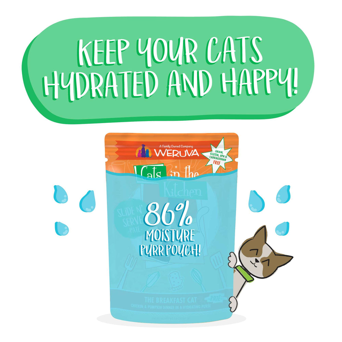 Cats In the Kitchen Slide N&#39; Serve Paté The Breakfast Cat Chicken &amp; Pumpkin Pouch