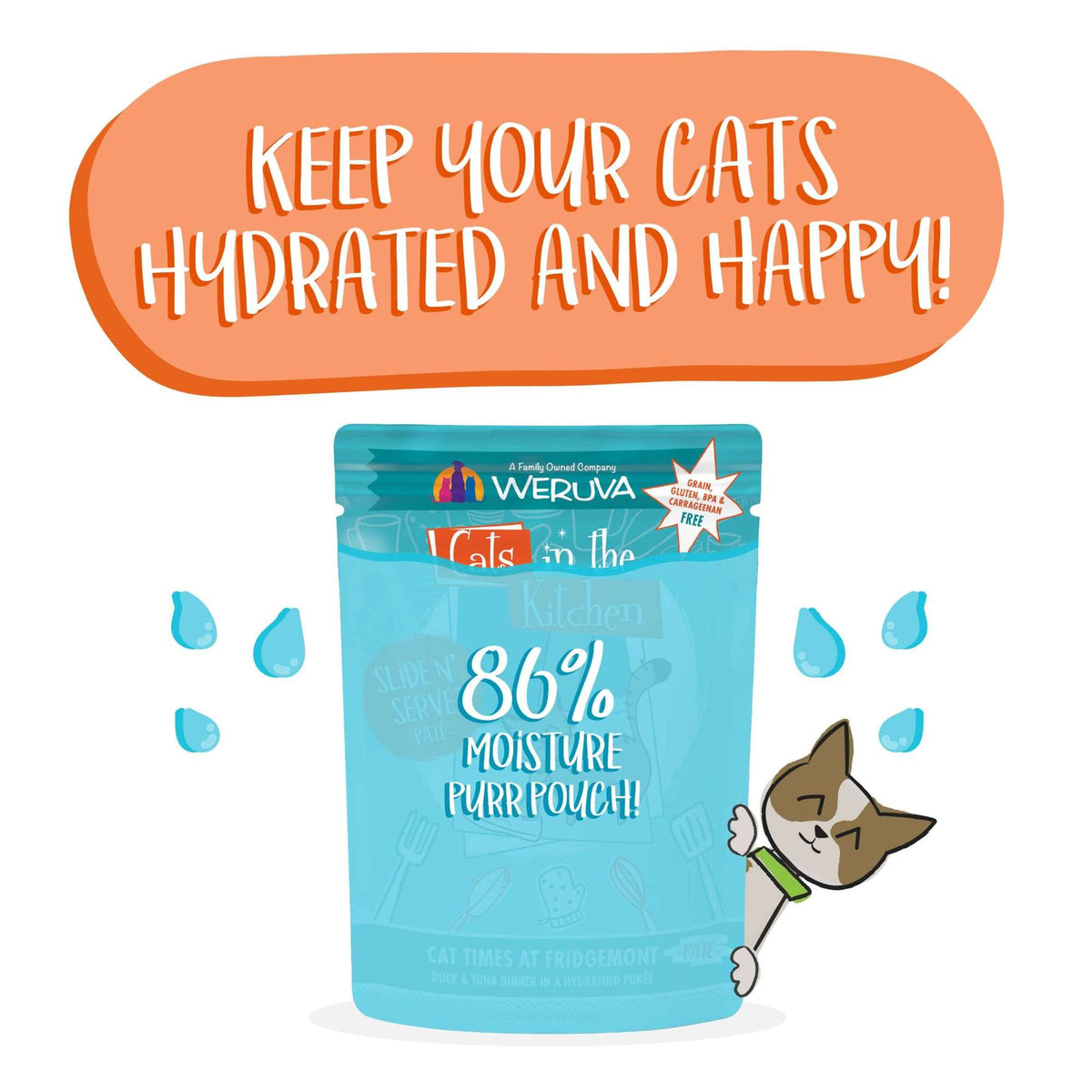 Cats In the Kitchen Slide N&#39; Serve Paté Cat Times at Fridgemont Duck &amp; Tuna Pouch