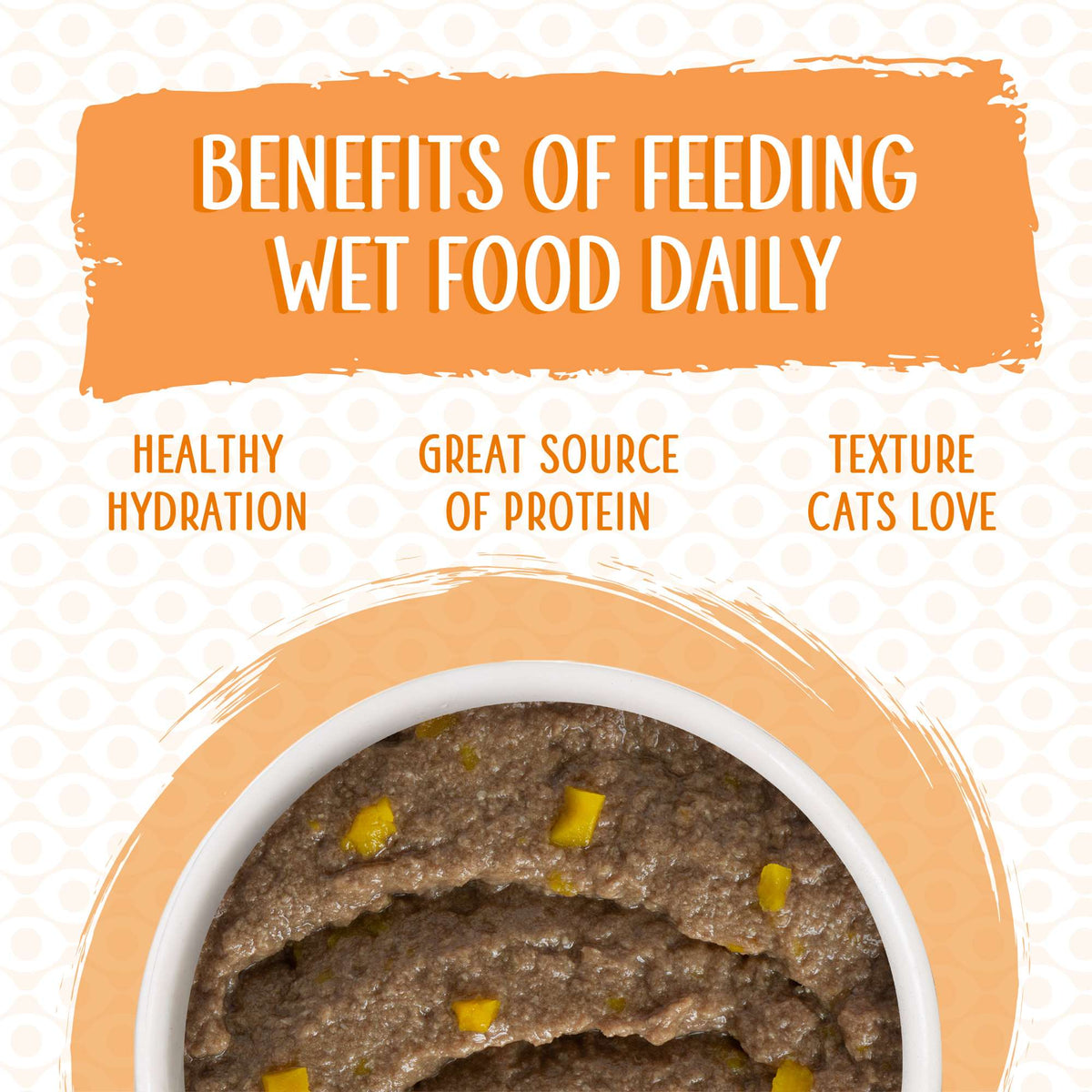 Weruva Paté! Who Wants to be a Meowionaire? Chicken &amp; Pumpkin Canned Cat Food