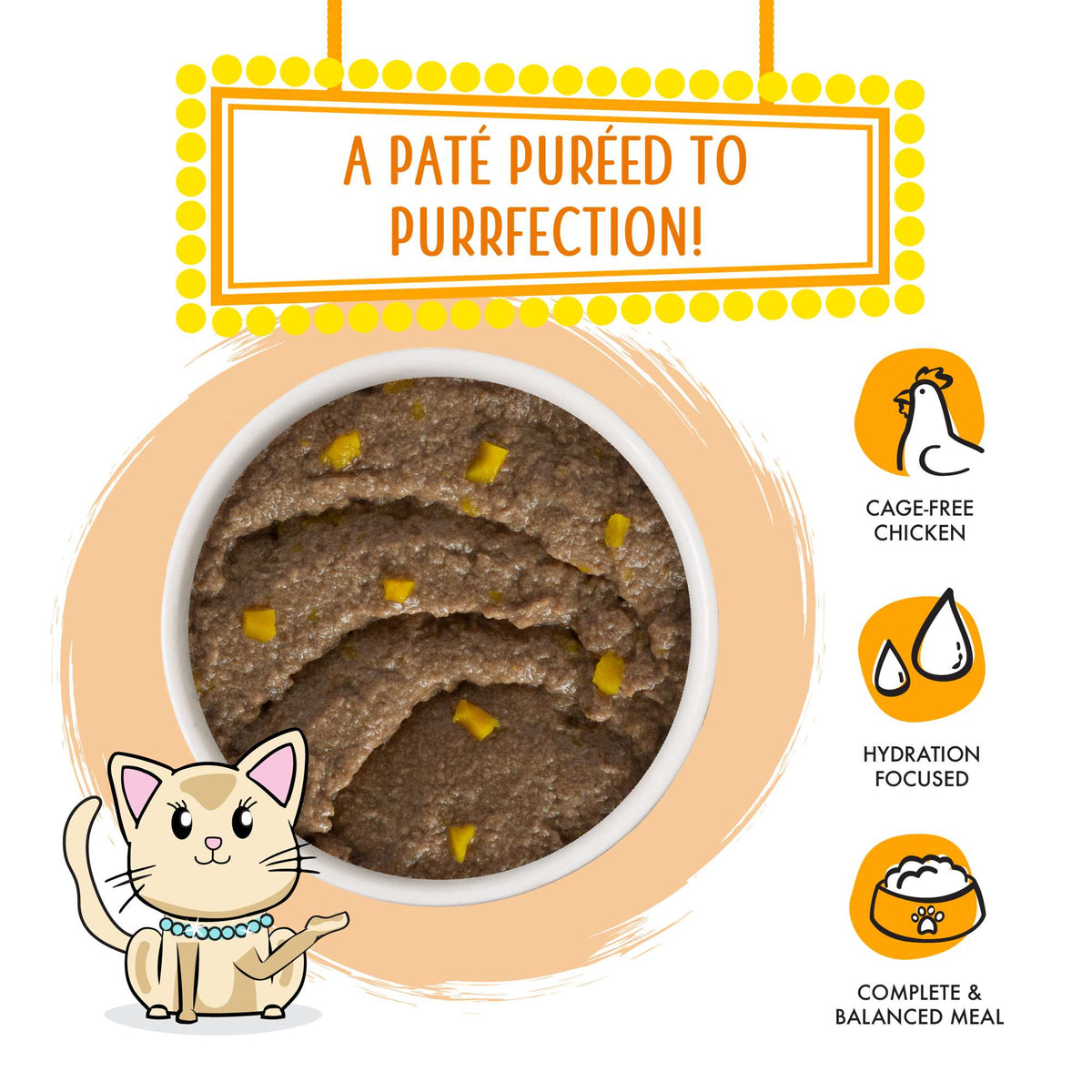 Weruva Paté! Who Wants to be a Meowionaire? Chicken &amp; Pumpkin Canned Cat Food
