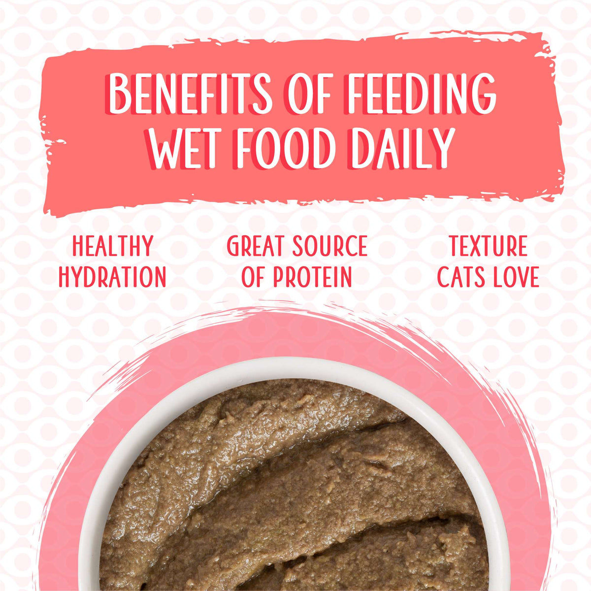 Weruva Paté! Jolly Good Fares Chicken &amp; Salmon Canned Cat Food