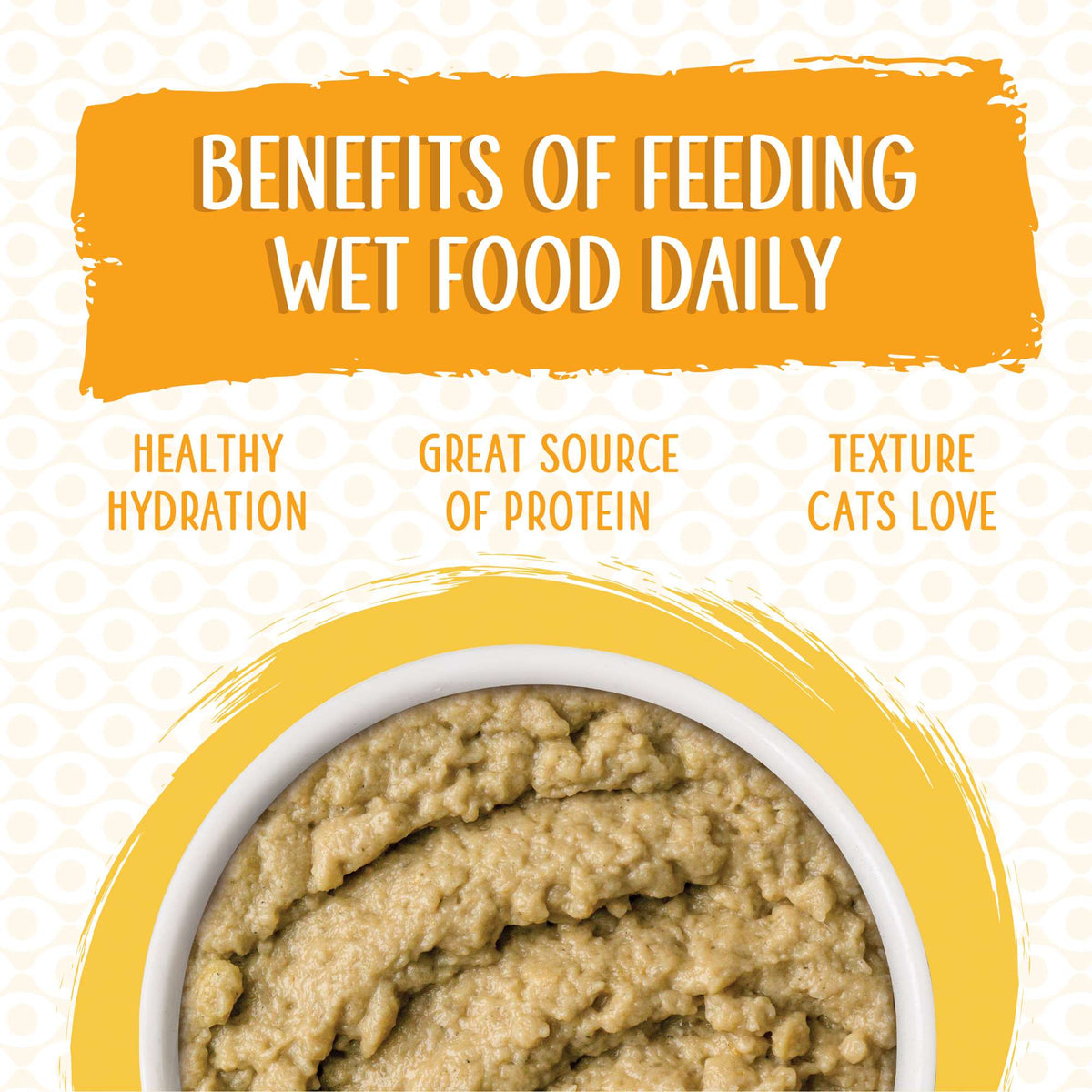 Weruva Slide N&#39; Serve Paté The Slice is Right Wild Caught Salmon Cat Food Pouch