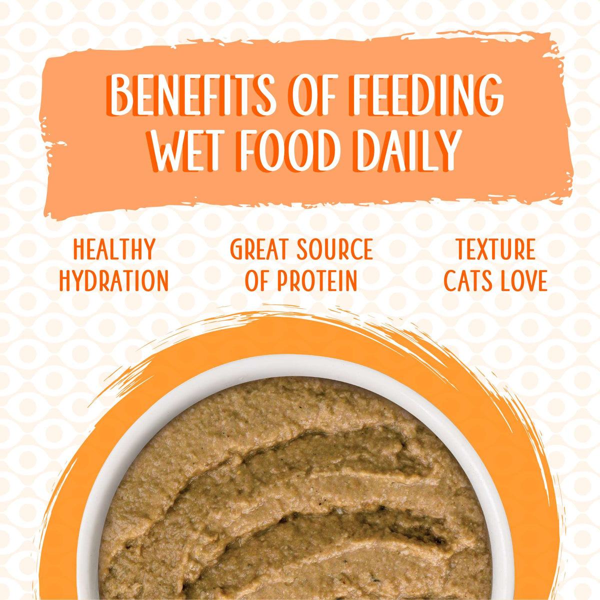 Weruva Slide N&#39; Serve Paté Love Connection Chicken &amp; Salmon Cat Food Pouch