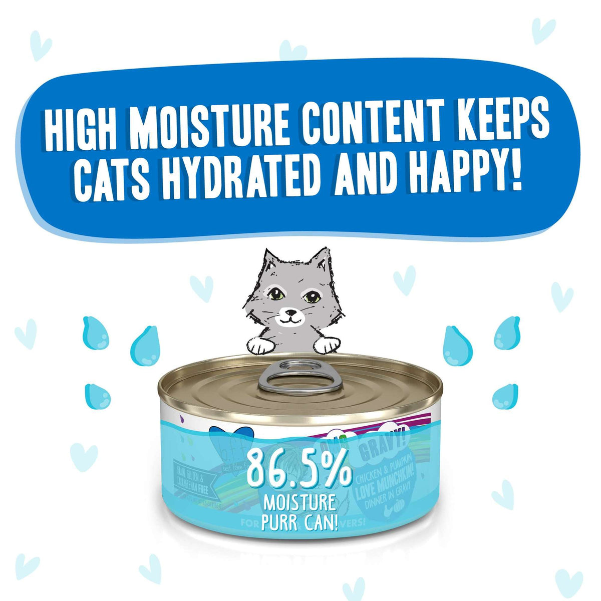 BFF OMG Gravy! Love Munchkin! Chicken &amp; Pumpkin Canned Cat Food