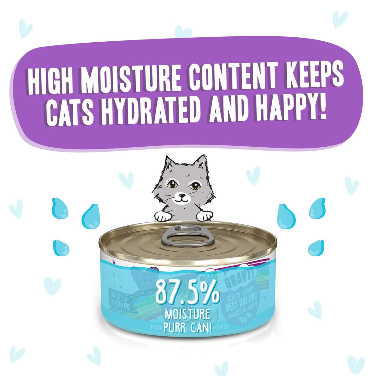 BFF OMG Gravy! Best Day Eva! Beef &amp; Salmon Canned Cat Food
