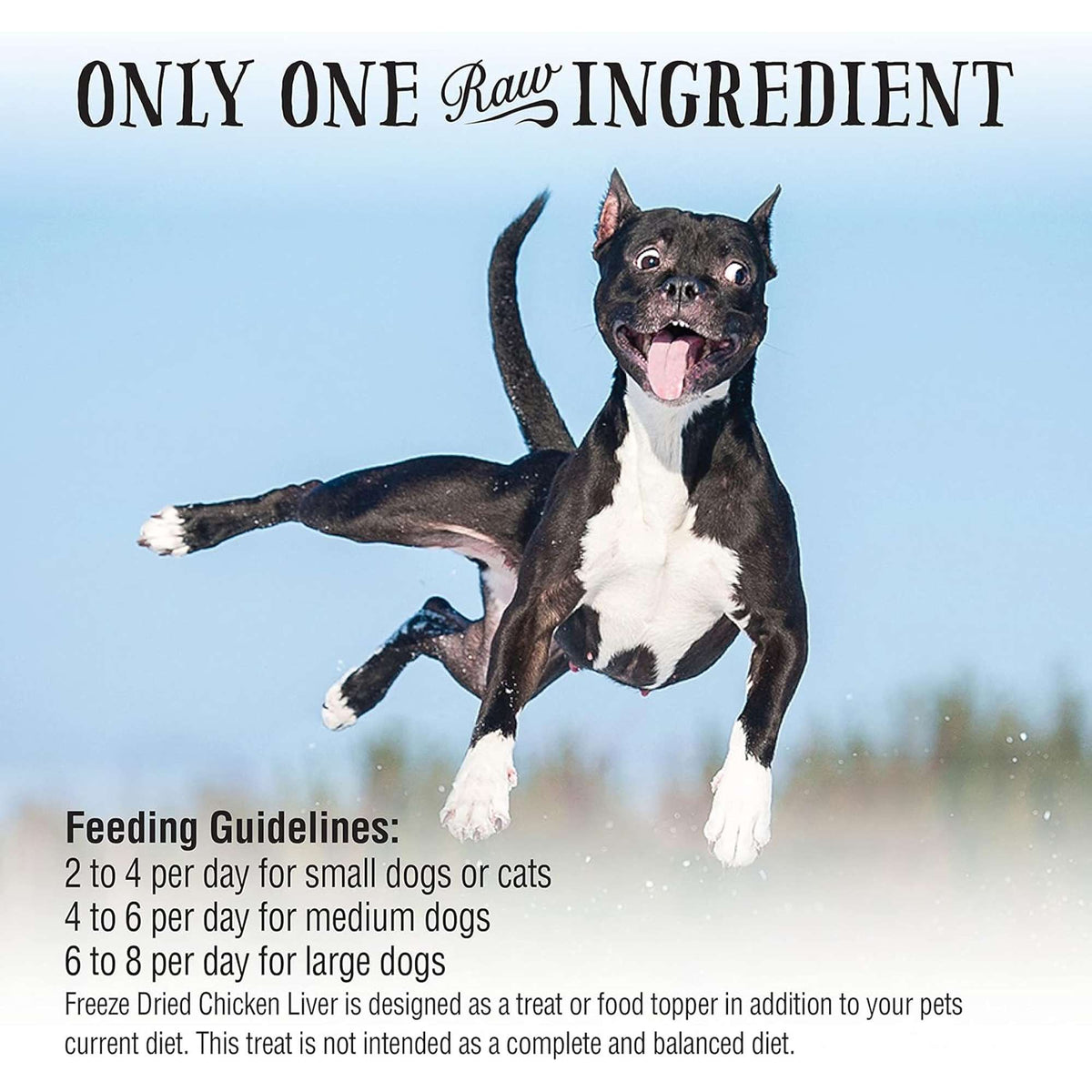 Northwest Naturals Raw Rewards Freeze-Dried Chicken Liver Dog &amp; Cat Treats