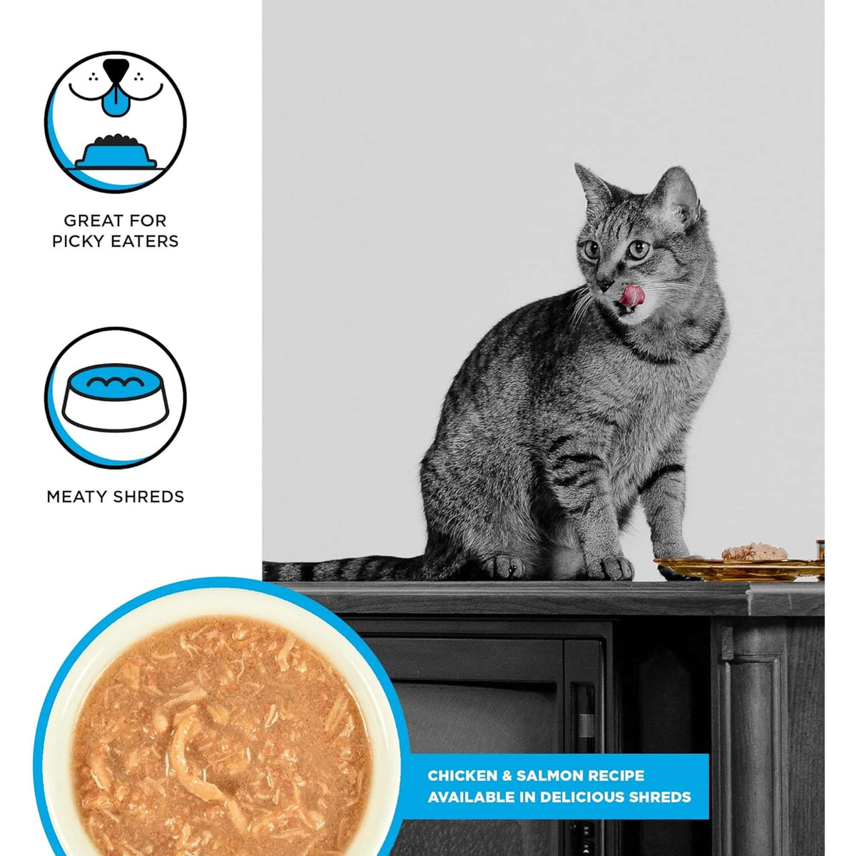 Bixbi Rawbble Shredded Grain Free Chicken &amp; Salmon Canned Cat Food