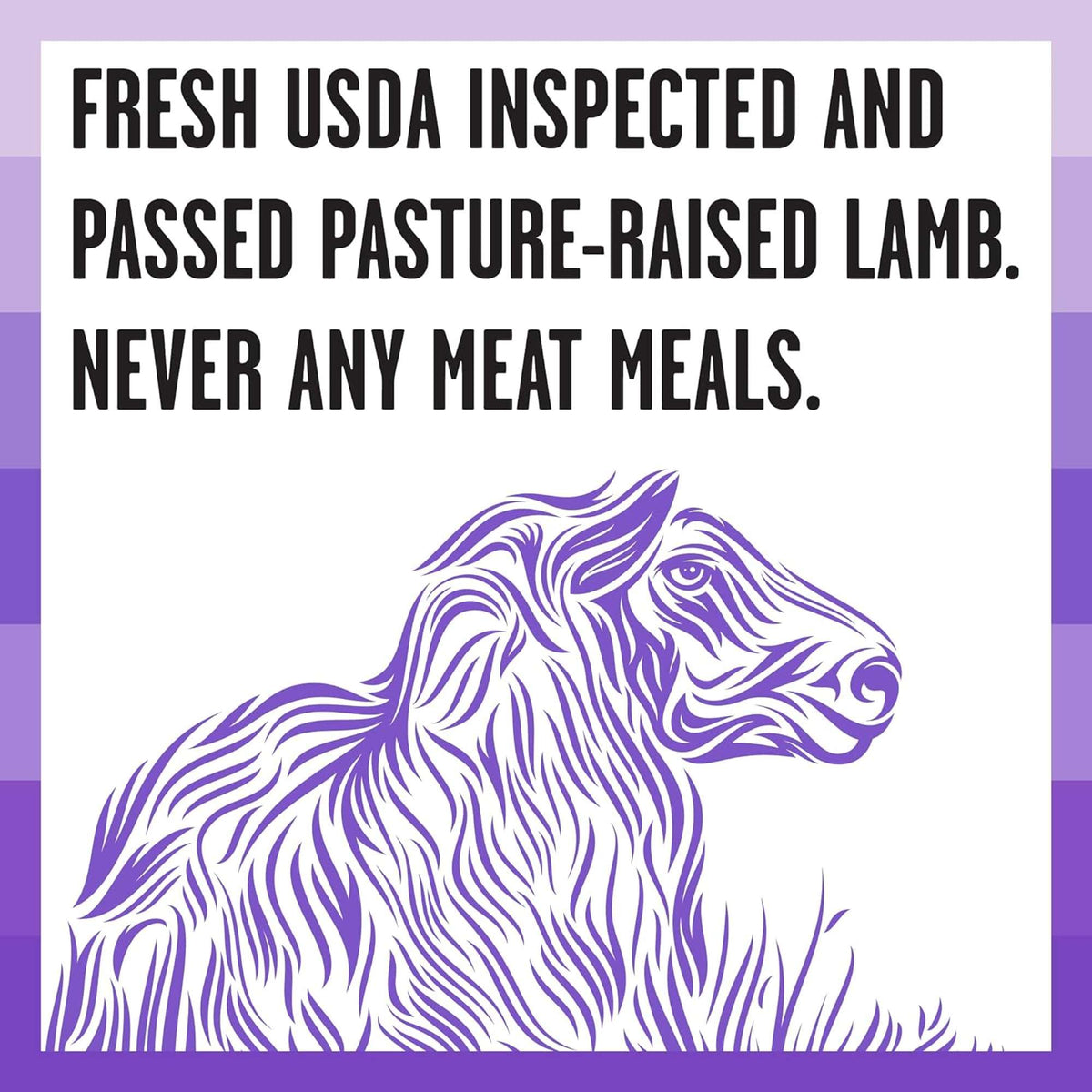 Bixbi Rawbble Freeze-Dried Raw Coated Grain Free Lamb Dog Food