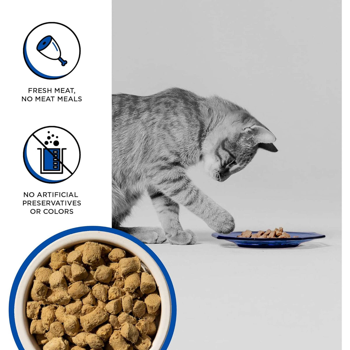 Bixbi Rawbble Freeze-Dried Grain Free Turkey Cat Food
