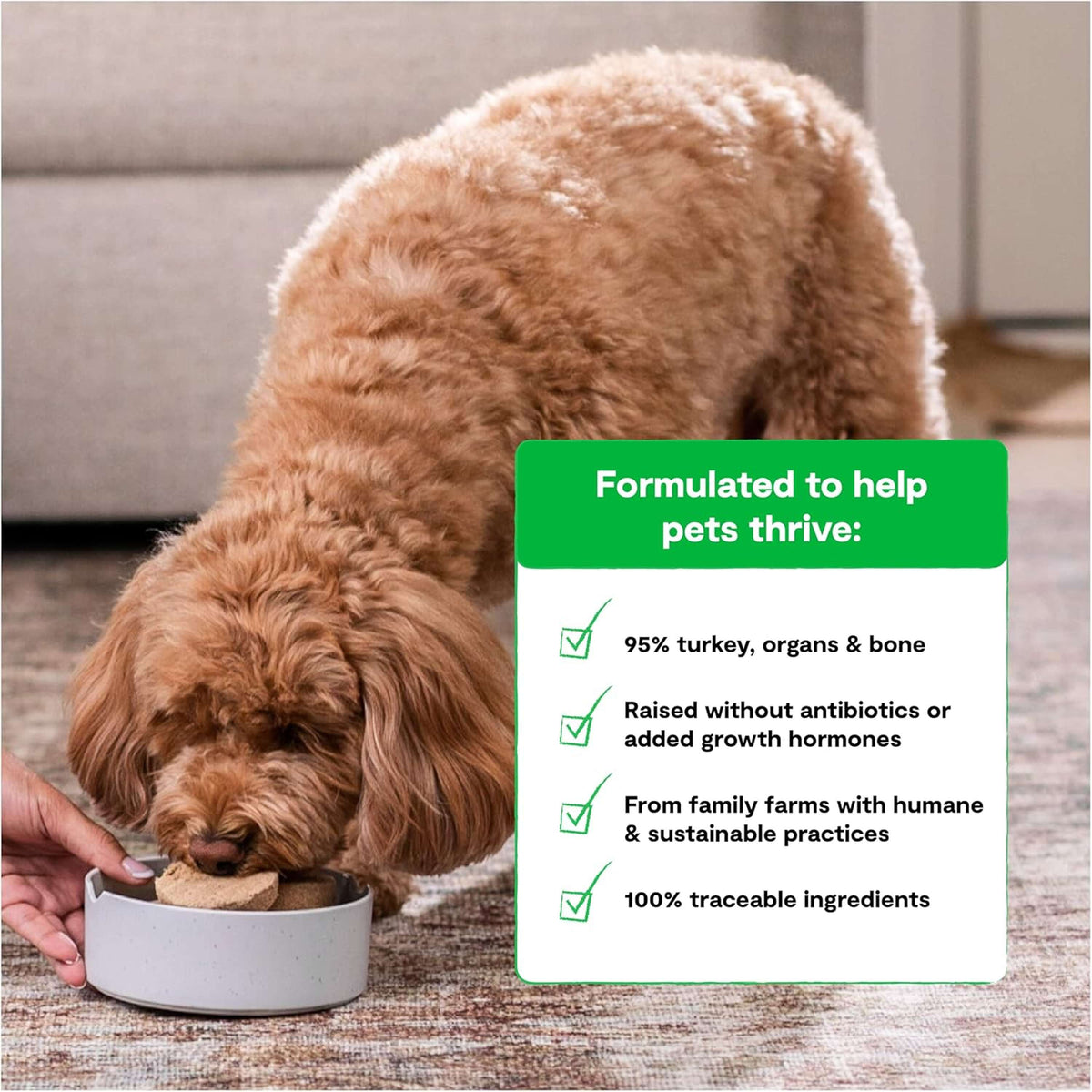 Open Farm Freeze-Dried Raw Homestead Turkey Dinner Patties Dog Food