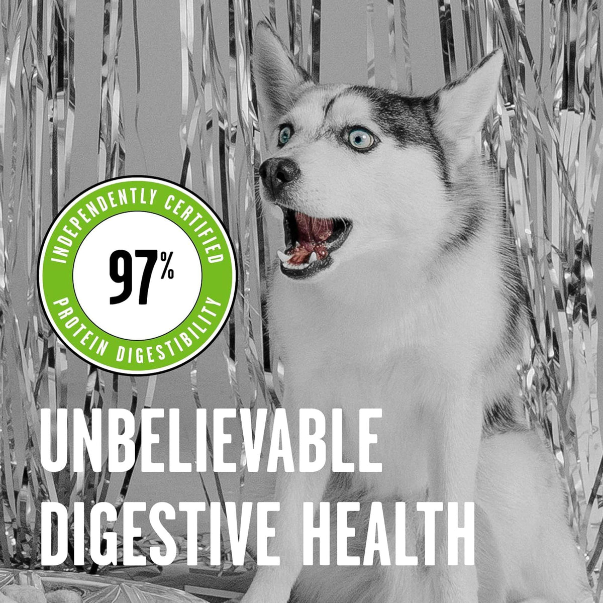 Bixbi Rawbble Freeze-Dried Pork Dog Food