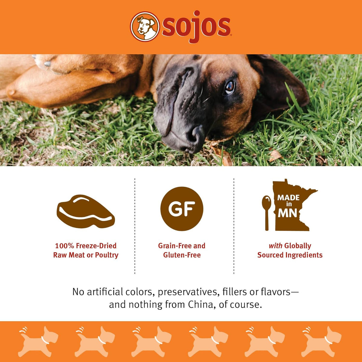 Sojos Freeze-Dried Raw Simply Turkey Dog Treats