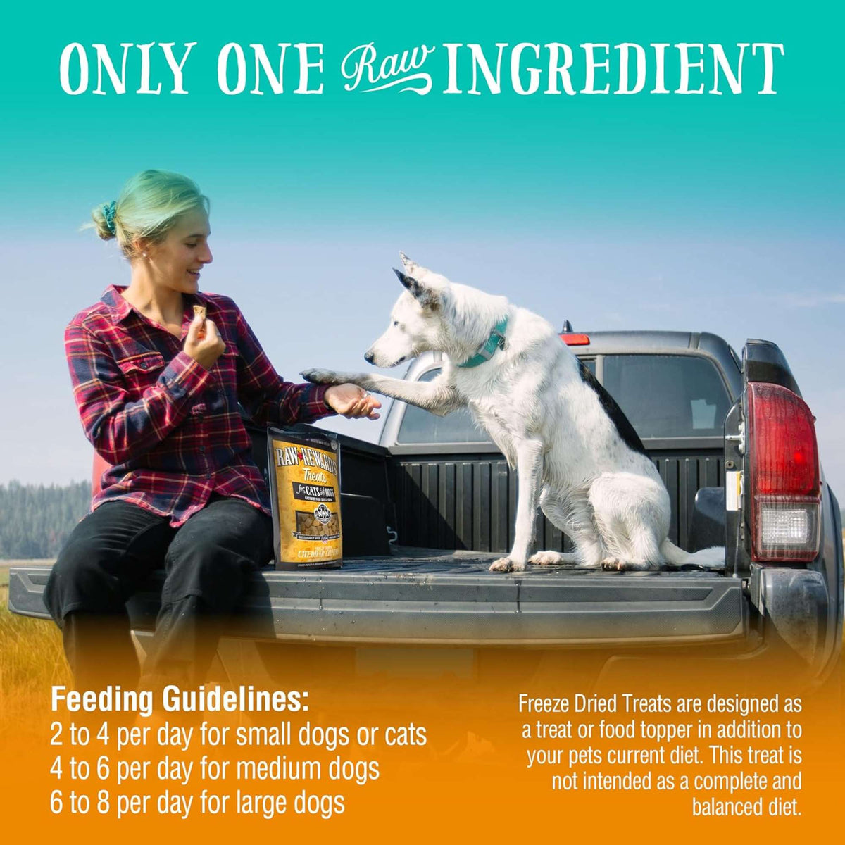 Northwest Naturals Raw Rewards Freeze-Dried Cheddar Cheese Dog Treats