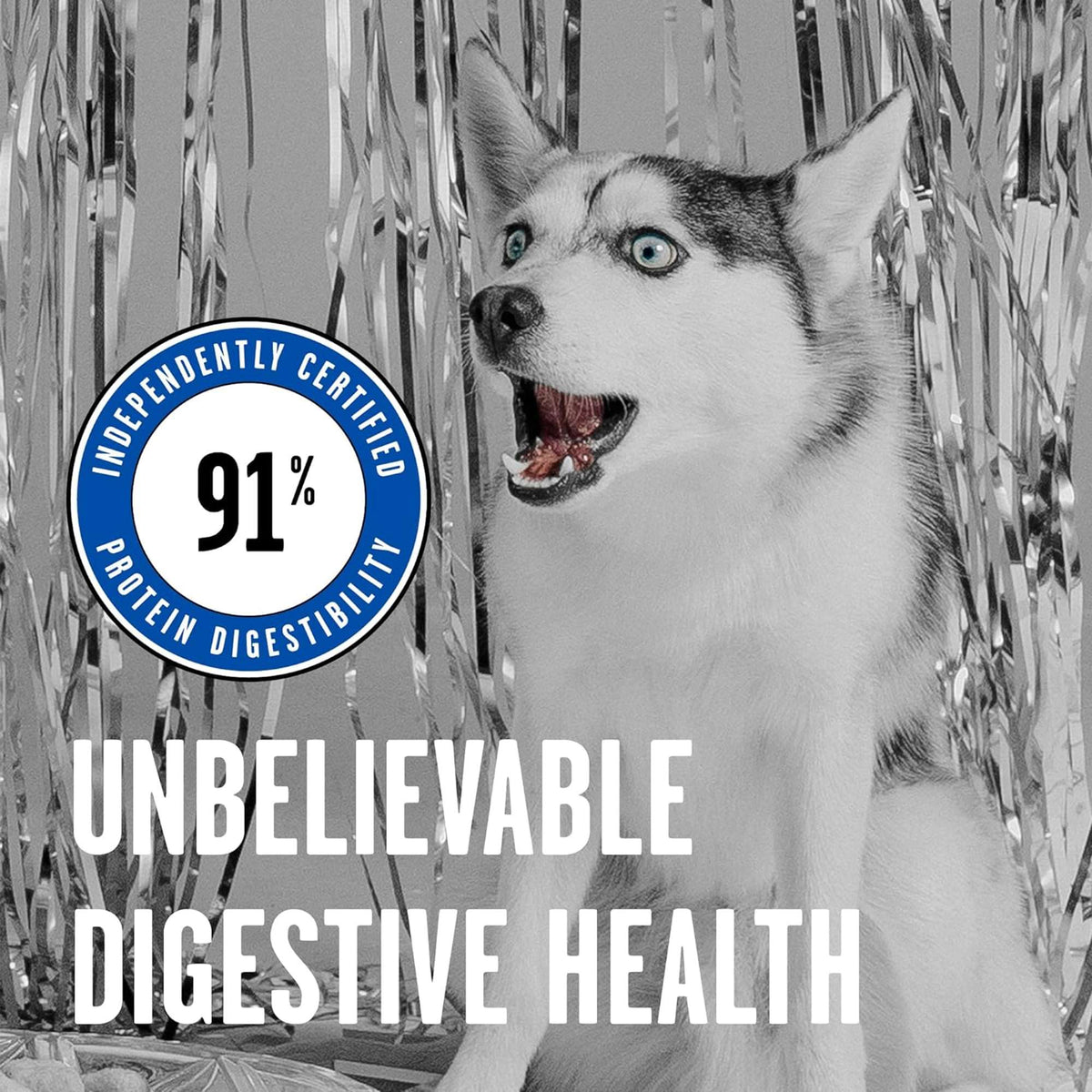 Bixbi Rawbble Freeze-Dried Raw Coated Grain Free Turkey Dog Food