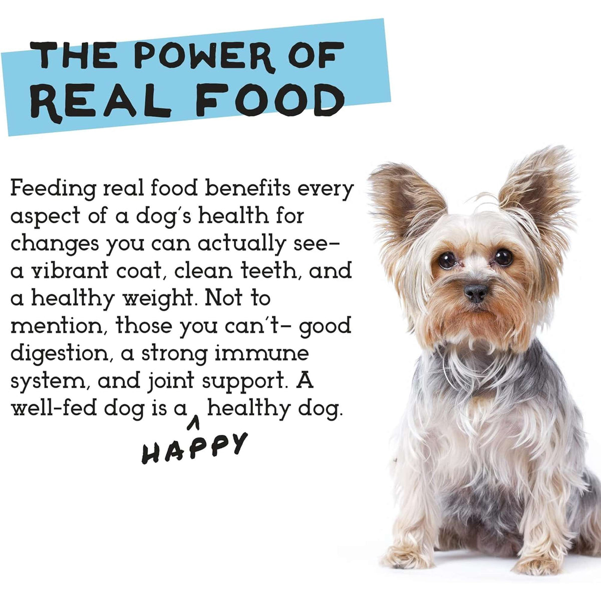 The Simple Food Project Duck &amp; Trout Freeze-Dried Dog Food