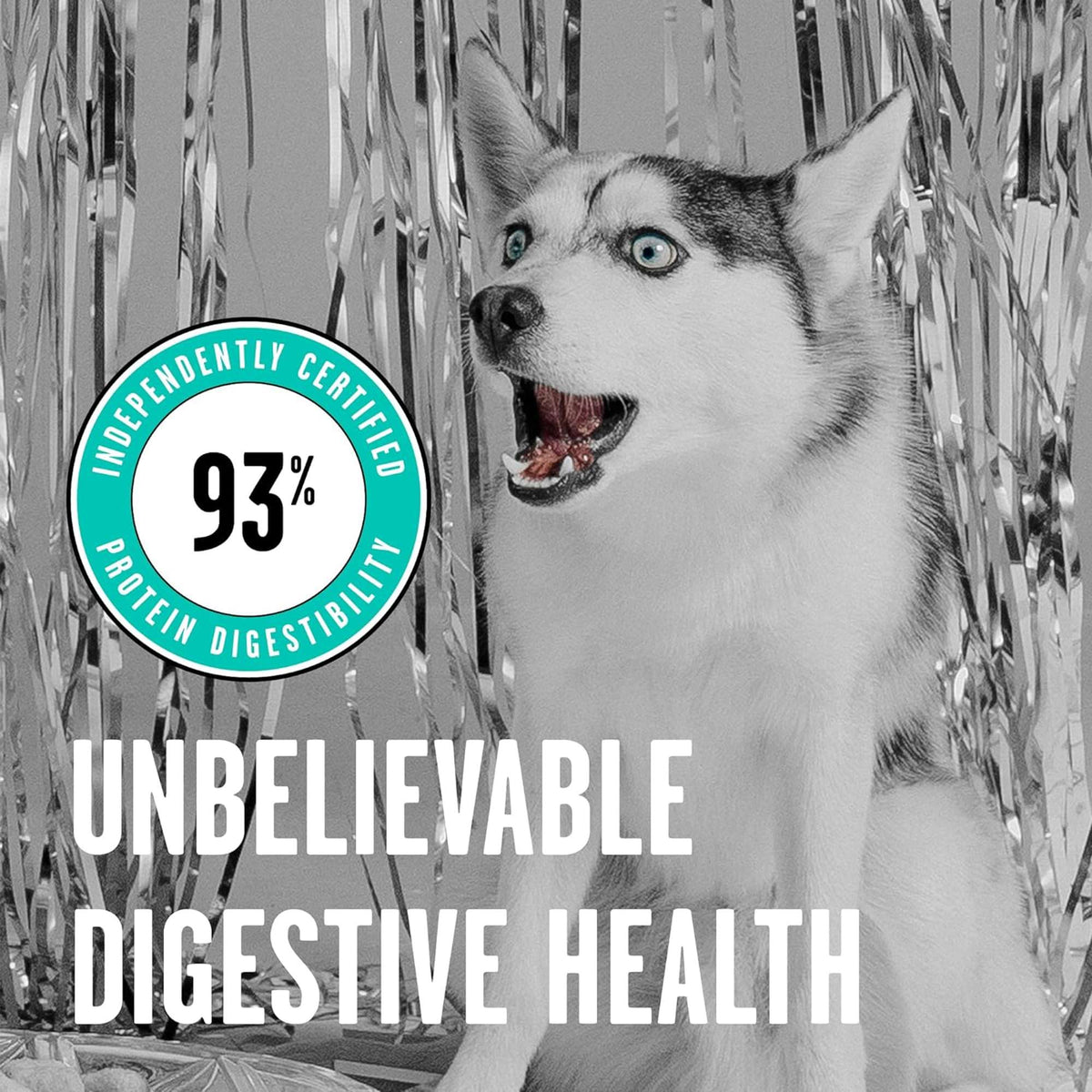 Bixbi Rawbble Freeze-Dried Duck Dog Food