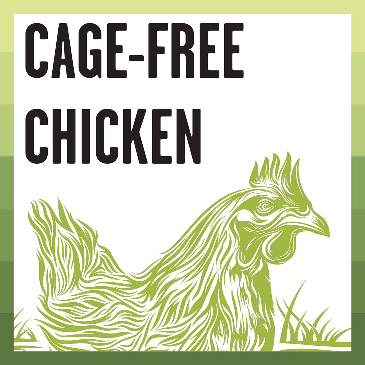 Bixbi Rawbble Paté Grain Free Kitten Chicken Canned Cat Food
