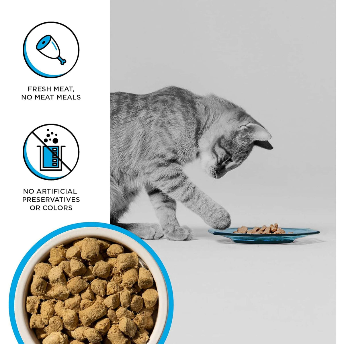 Bixbi Rawbble Freeze-Dried Grain Free Chicken &amp; Salmon Cat Food