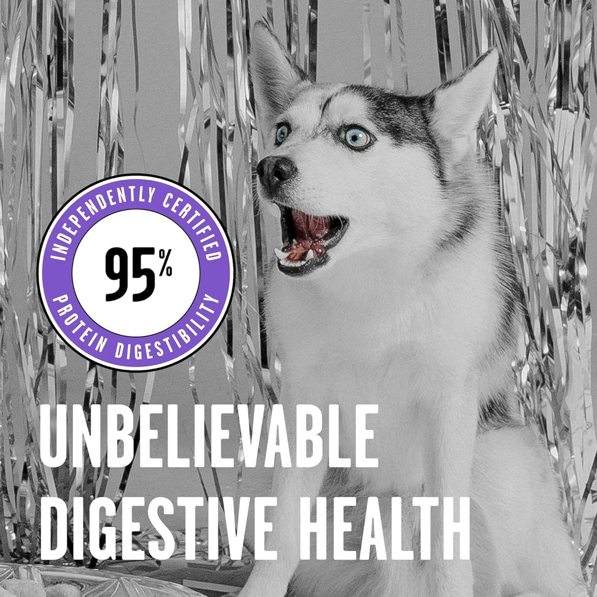 Bixbi Rawbble Freeze-Dried Lamb Dog Food