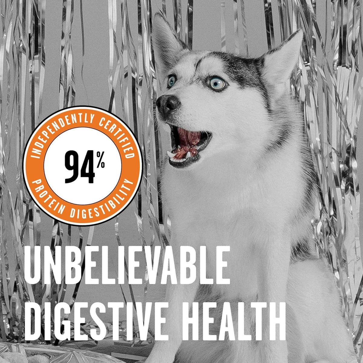 Bixbi Rawbble Freeze-Dried Chicken Dog Food