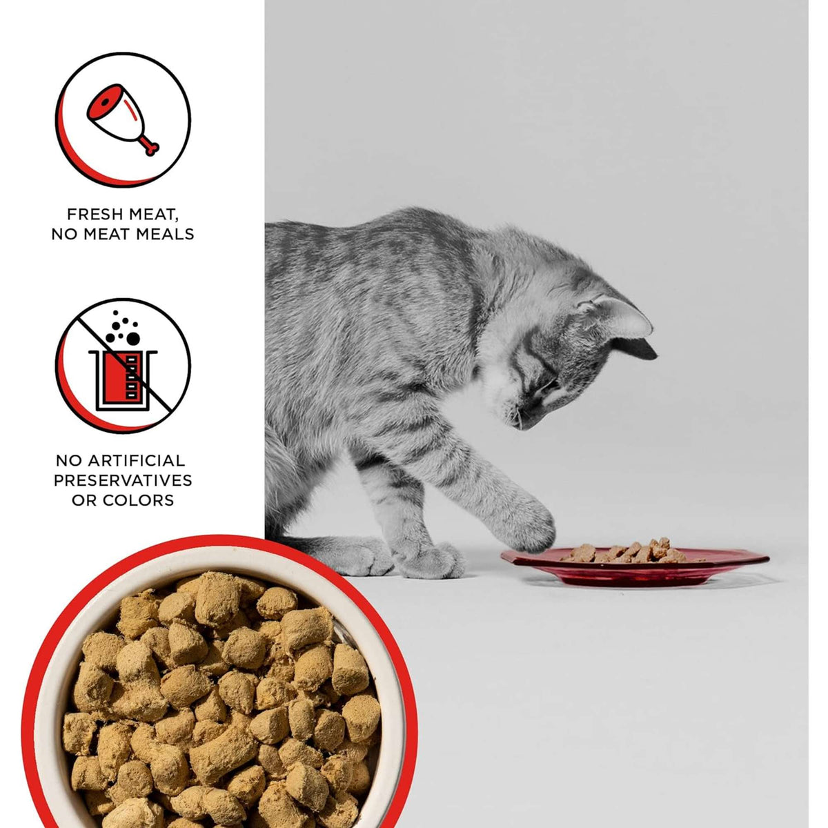 Bixbi Rawbble Freeze-Dried Grain Free Beef Cat Food
