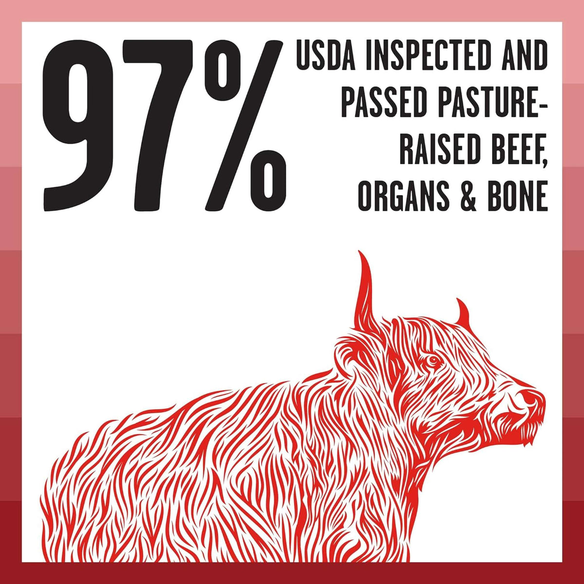 Bixbi Rawbble Freeze-Dried Grain Free Beef Cat Food