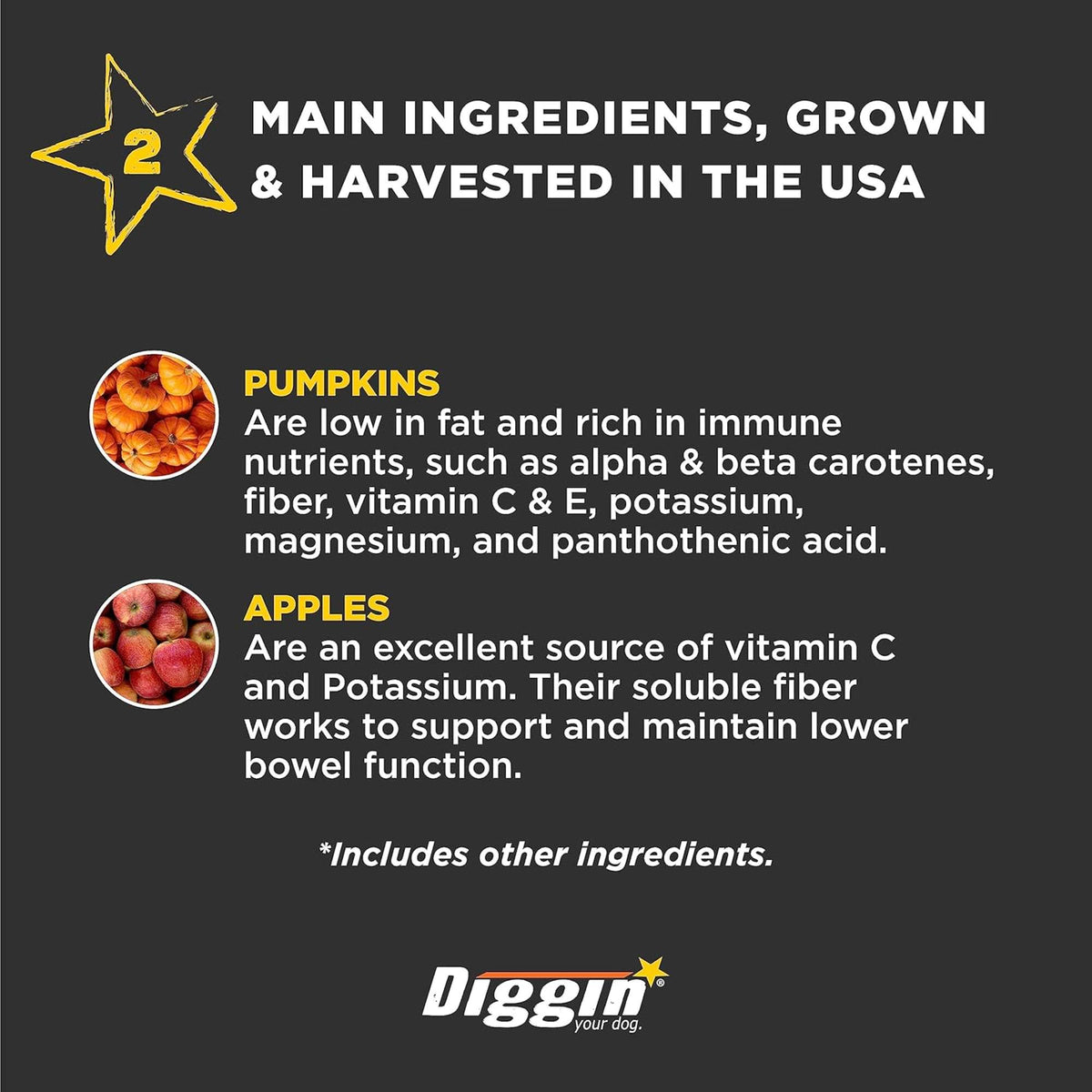 Diggin Your Dog Firm Up! Pumpkin Bars Digestive Aid Dog &amp; Cat Supplement