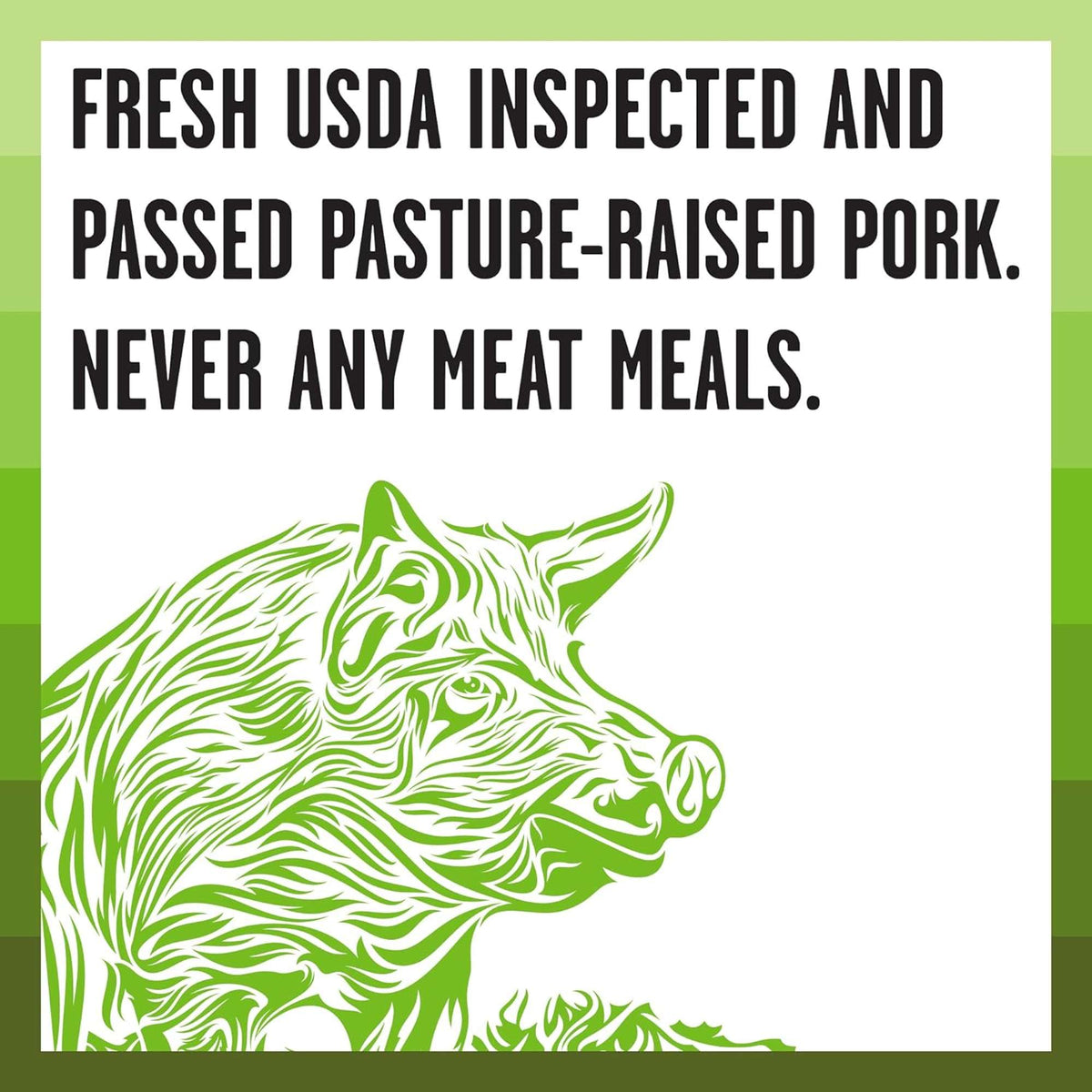 Bixbi Rawbble Freeze-Dried Raw Coated Grain Free Pork Dog Food
