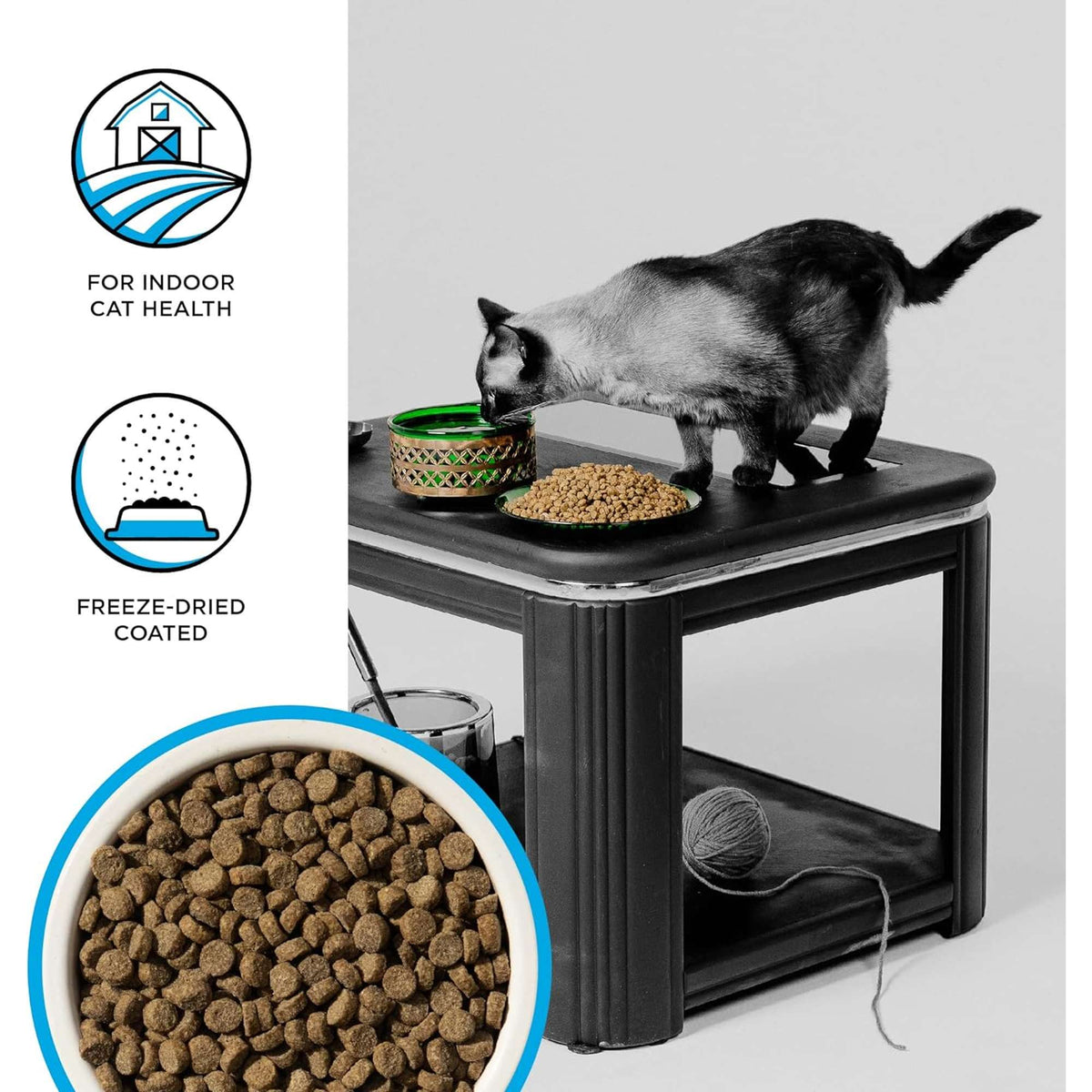 Bixbi Rawbble Freeze-Dried Raw Coated Grain Free Indoor Cat Health Chicken &amp; Salmon Cat Food