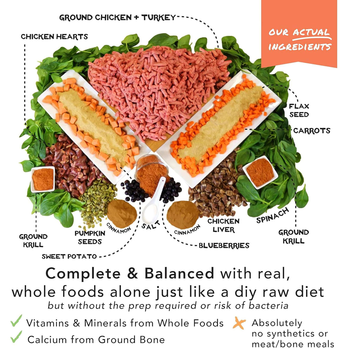 The Simple Food Project Chicken &amp; Turkey Freeze-Dried Dog Food