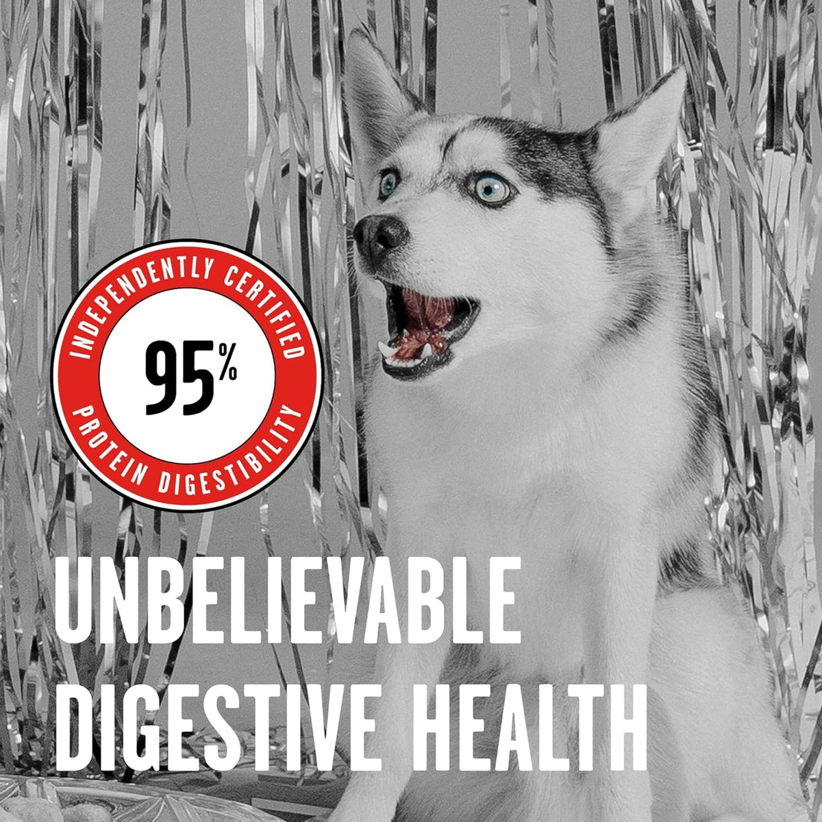 Bixbi Rawbble Freeze-Dried Beef Dog Food