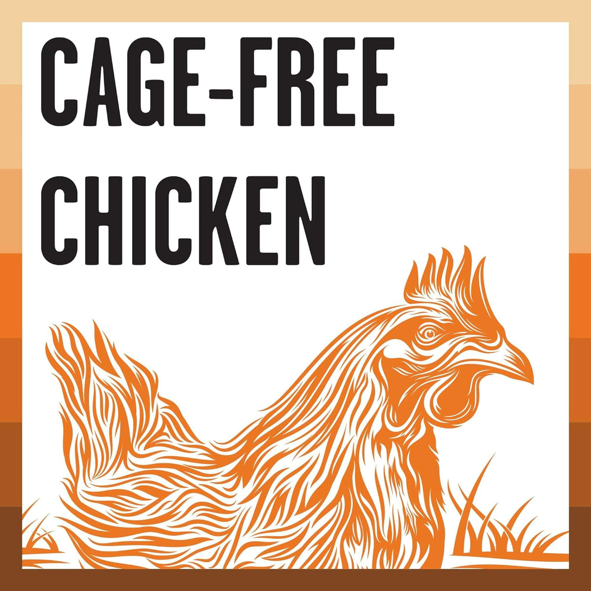 Bixbi Rawbble Freeze-Dried Raw Coated Grain Free Chicken Cat Food