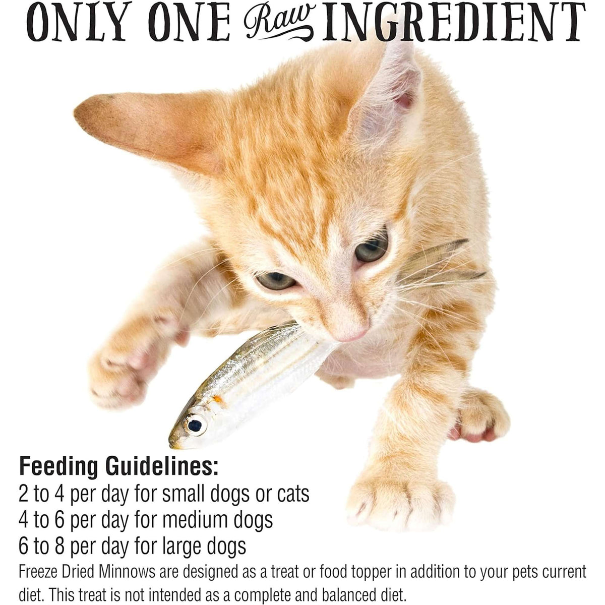 Northwest Naturals Raw Rewards Freeze-Dried Minnows Dog &amp; Cat Treats