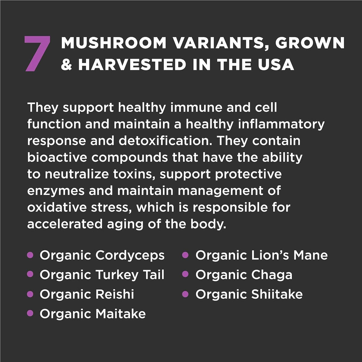 Super Snouts Super Shrooms Supplement for Dogs &amp; Cats