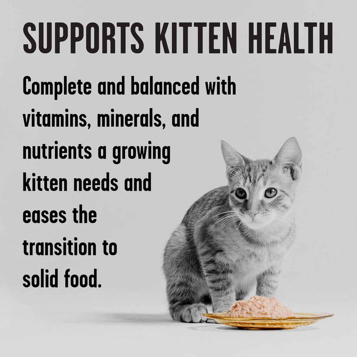 Bixbi Rawbble Paté Grain Free Kitten Chicken Canned Cat Food